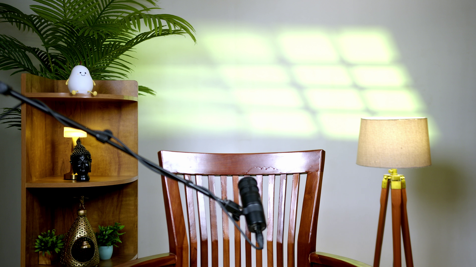 Chennai Podcast Studio — Mic Setup